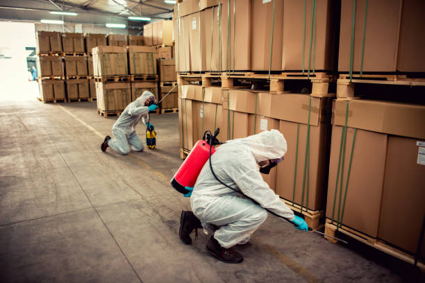 Best Bed Bug Extermination  in Bonne Terre, MO