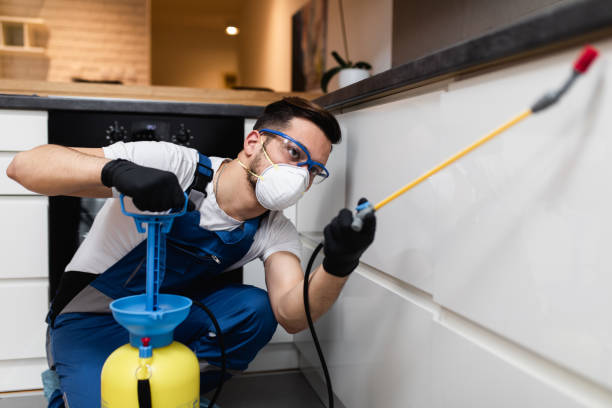 Best Pest Control Near Me  in Bonne Terre, MO