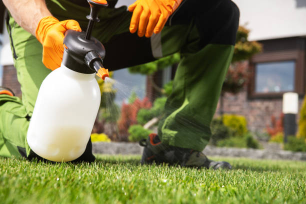 Best Pest Removal Services  in Bonne Terre, MO