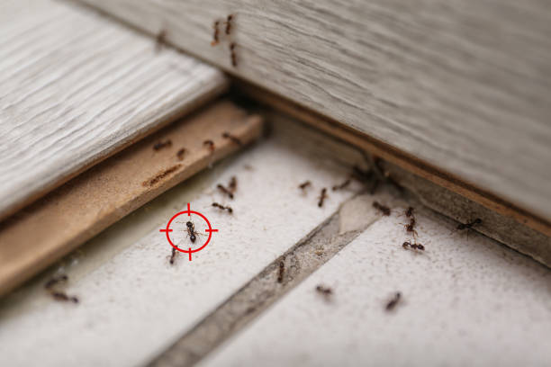 Bonne Terre, MO Pest Control Company
