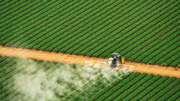 Best Termite Control Services  in Bonne Terre, MO