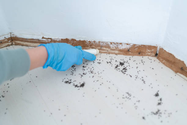 Best Pest Control for Businesses  in Bonne Terre, MO