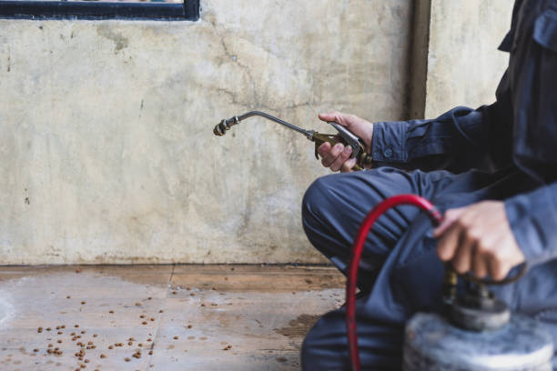 Best Flea Control Services  in Bonne Terre, MO